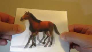 Walking Horse ☆ CUSTOM ☆ No 24 Lenticular motion cards 3D 1080p [upl. by Jarrad]