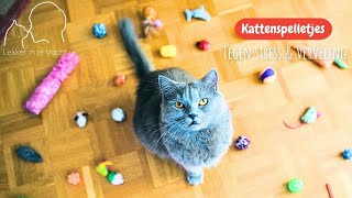 Katten spelletjes  zodat de kat zich niet verveelt [upl. by Enaid]