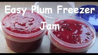 Plum Freezer Jam Easy 15 Minute Recipe [upl. by Evreh]