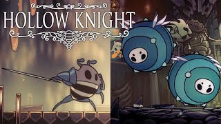 Oh What A Fool Ive Been  Hollow Knight [upl. by Ennyrb]