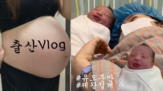 출산Vlog  초산모 15시간 유도분만 실패 후 제왕절개 임신 40주 2일🤰🏻오월이 안녕👶🏻 [upl. by Om]