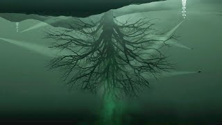 20 Deep Sea Mysteries That Will Freak You Out [upl. by Iand292]