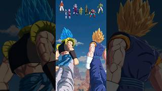 Vegito amp Gogeta VS Everyone [upl. by Ellett]