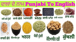 Indian Pulses name Punjabi To English With Picture  ਦਾਲਾਂ ਦੇ ਨਾਮ  Daily use English Words [upl. by Eniamart]