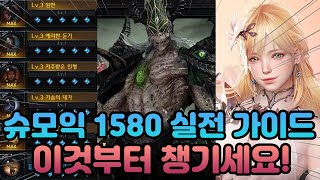 슈모익 1580 실전 가이드  각인 일리아칸 호감도 편 로스트아크 [upl. by Acirred]