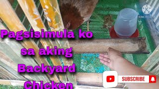 PAGSISIMULA KO SA AKING BACKYARD FREE RANGE CHICKEN  NATIVE CHICKEN  BUHAY PROBINSYA [upl. by Arahsat75]