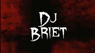 PREDADOR DE P3RERECA DJ BRIET E RICDJ [upl. by Ramburt303]