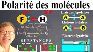 Polarité des molécules  liaisons et charge partielle [upl. by Nylinnej]