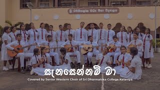 Api Kawruda  අපි කවුරුද   Original by Senaka Batagoda සේනක බටගොඩ [upl. by Enicnarf]