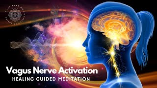 Vagus Nerve Activation Healing Guided Meditation [upl. by Shorter]