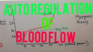 CVS physiology 100  Autoregulation of blood flow  Metabolic theory  Myogenic theory [upl. by Noivart]