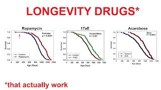 Longevity Drugs That May Actually Work [upl. by Alleul]