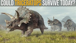 EDB styracosaurus vs triceratops PIVOT [upl. by Iras361]