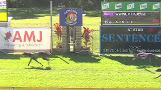 Capalaba14072024Race3 [upl. by Nor31]