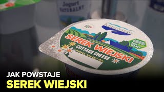 Jak powstaje serek wiejski i jogurt  Fabryki w Polsce [upl. by Adnicaj]