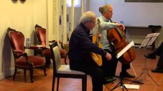 Radamés Gnattali  Sonata for Guitar and Cello Paulo Pedrassoliguitar amp Jed Barahalcello [upl. by Haakon]