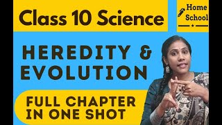 Heredity and evolution  full chapter in one shot  class 10 CBSE  KEEB [upl. by Gombach]