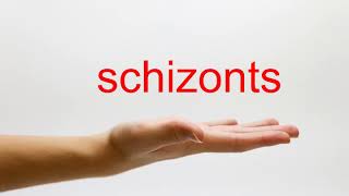 How to Pronounce schizonts  American English [upl. by Lyontine]