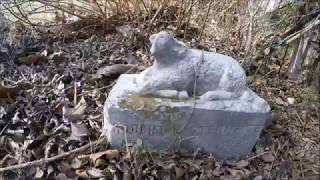 Exploring The McKinney Cemetery In Blaine Tennessee [upl. by Eran]