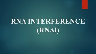 RNA Interference RNAi  siRNA  Small Interfering RNA [upl. by Eba86]