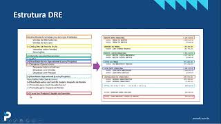 Webinar  SPED ECD  19 julho 2021 [upl. by Llecrup]