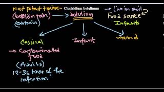 Clostridium botulinum infection [upl. by Yllac]