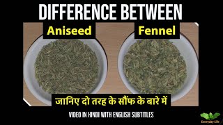 Difference between Aniseed and Fennel  Sauf  दो तरह के सौंफ पतली और मोटी सौफ  Everyday Life 81 [upl. by Inahet244]