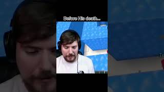 unseen Mrbeast before and after technoblade death reaction MrBeast gaming shorts [upl. by Adiol409]