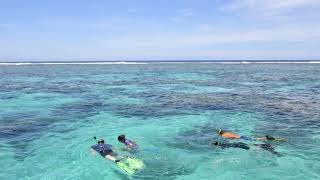 Dive Into Paradise Top 5 Snorkeling Spots in Cook Islands [upl. by As]