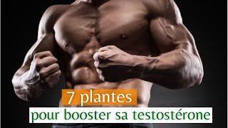 7 Astuces pour augmenter RAPIDEMENT la testostérone chez l’homme💪💪💪 [upl. by Asena]