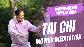 The Inner Alchemy of Tai Chi Qigong with Tao Grandmaster Mantak Chia Energy cultivation practice [upl. by Hibben]