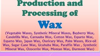 Production and Processing of Wax  Vegetable Waxes  Synthetic Mineral Waxes [upl. by Eelarac176]