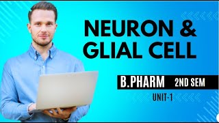 NEURON AND GLIAL CELLS  BPHARM 2ND SEM  UNIT1 [upl. by Rialc]