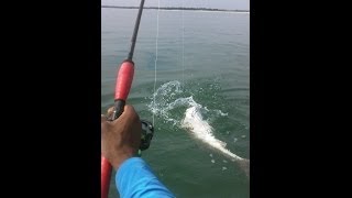 Kayak Fishing at the Murrells Inlet SC Jetties [upl. by Notwen]