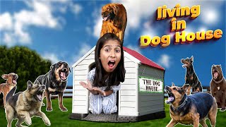 Living In Dog House For 24 Hours  SCARY [upl. by Dacy]