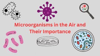 Microorganisms in Air and their Importance  Airborne Microorganisms  AeroMicrobiology Aero flora [upl. by Ednutabab]