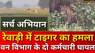 Rewari में Tigerबाघ का हमला वन विभाग के दो लोग घायल  Tiger Attack Rewari  Rewari Update [upl. by Boehmer]