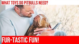 Pitbulls On a Budget DIY Dog Toys for Hours of Fun [upl. by Wolenik]