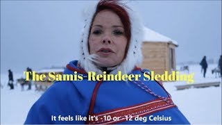 TROMSO NORWAY VLOG 2017 REINDEER SLEDDING DAY 3 [upl. by Roxie]