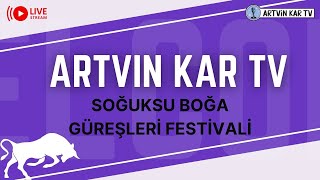 🐂 1 Murgul Soğuksu Boğa Güreşleri Festivali 2  Gün 🎥 [upl. by Annaeerb]