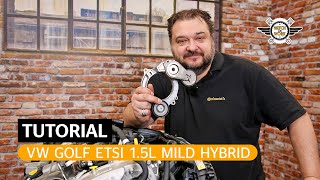 DE Keilrippenriemen am Auto wechseln Mild Hybrid mit OmegaSpanner  Watch and Work Tutorial [upl. by Kathi893]