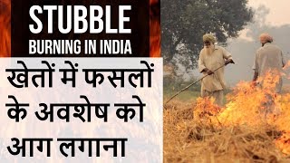 Stubble Burning in India  Issues and Organic Solutions for Agriculture pollution  UPSCState PCS [upl. by Enovaj]