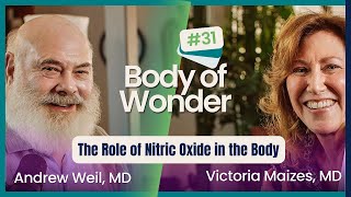 Body of Wonder  The Role of Nitric Oxide in the Body with Dr Louis Ignarro [upl. by Tenn126]