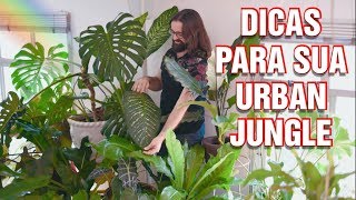 COMO DECORAR sua SALA com PLANTAS  Decoração de sala com plantas ornamentais [upl. by Nhaj]