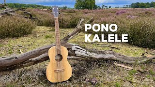 Koolau Pono Mango Baritone ukulele MGBK  Kalele [upl. by Cammi]