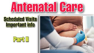 Antenatal Care A Comprehensive Guide to Scheduled Visits and Pregnancy Health  Medisight [upl. by Akema]