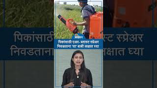 Air Blast Sprayer पिकांनुसार एअर ब्लास्ट स्प्रेअर निवडणे आवश्यक  Agrowon [upl. by Nyrem]