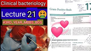 Special Bacteriology lectures8 Gram positive RODS Bacillus clostridum cornybacterium listeria [upl. by Larrad]