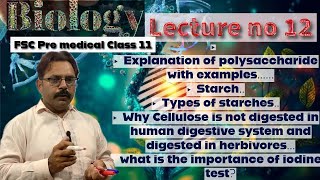 Explanation amp Examples of Polysaccharide  What is Starch and its Types  iodine Test in UrduHindi [upl. by Sheedy]