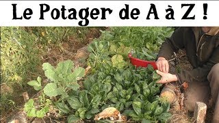 Le Potager de A à Z 10 légumes qui se ressèment [upl. by Eillim217]